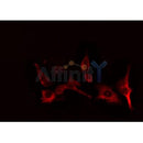 Western blot analysis of extracts from COS-7, using Cytochrome P450 2B6 Antibody. The lane on the left was treated with blocking peptide.