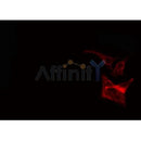 AF0262 staining Hela cells by IF/ICC. The sample were fixed with PFA and permeabilized in 0.1% Triton X-100,then blocked in 10% serum for 45 minutes at 25¡ãC. The primary antibody was diluted at 1/200 and incubated with the sample for 1 hour at 37¡ãC. An Alexa Fluor 594 conjugated goat anti-rabbit IgG (H+L) antibody(Cat.