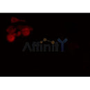 Western blot analysis of extracts from HepG2, using SOX6 Antibody.