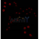 AF0327 staining COLO205 by IF/ICC. The sample were fixed with PFA and permeabilized in 0.1% Triton X-100,then blocked in 10% serum for 45 minutes at 25¡ãC. The primary antibody was diluted at 1/200 and incubated with the sample for 1 hour at 37¡ãC. An Alexa Fluor 594 conjugated goat anti-rabbit IgG (H+L) Ab, diluted at 1/600, was used as the secondary antibod