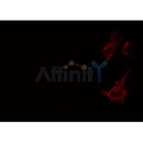 Western blot analysis of extracts from mouse brain, using AAK1 Antibody. Lane 1 was treated with the blocking peptide.