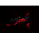 Western blot analysis of extracts from mouse lung , using ADCK5 Antibody.