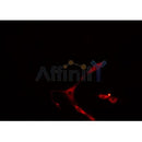 Western blot analysis of extracts from 293, using CA13 Antibody. Lane 1 was treated with the blocking peptide.