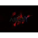 DF4396 staining Hela by IF/ICC. The sample were fixed with PFA and permeabilized in 0.1% Triton X-100,then blocked in 10% serum for 45 minutes at 25¡ãC. The primary antibody was diluted at 1/200 and incubated with the sample for 1 hour at 37¡ãC. An Alexa Fluor 594 conjugated goat anti-rabbit IgG (H+L) Ab, diluted at 1/600, was used as the secondary antibod