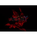 AF0064 staining HuvEc by IF/ICC. The sample were fixed with PFA and permeabilized in 0.1% Triton X-100,then blocked in 10% serum for 45 minutes at 25¡ãC. The primary antibody was diluted at 1/200 and incubated with the sample for 1 hour at 37¡ãC. An Alexa Fluor 594 conjugated goat anti-rabbit IgG (H+L) Ab, diluted at 1/600, was used as the secondary antibod