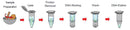 Genomic DNA Isolation kit (tissue) - 100 reactions PDC11-0100