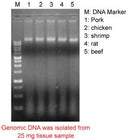 Mbead Tissue Genomic DNA Kit - 100 reactions PDM02-0100