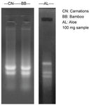 Plant Total RNA Isolation Reagent - 100 reactions