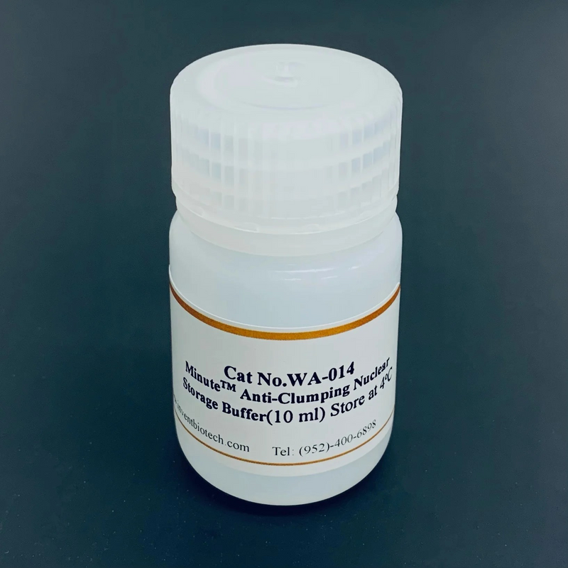 Minute™ Anti-Clumping Nuclei Storage Buffer (10 ml) WA-014