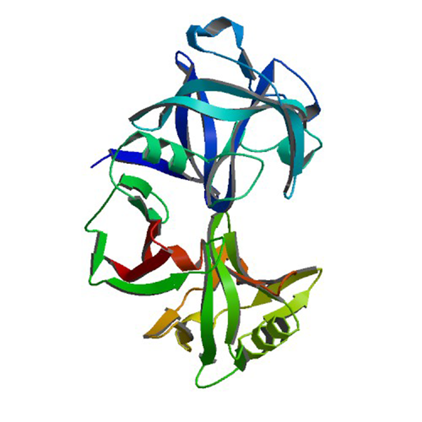 MP Biomedicals Pepsin 0210259850 - 20, 50, 100, 500, 1kg options