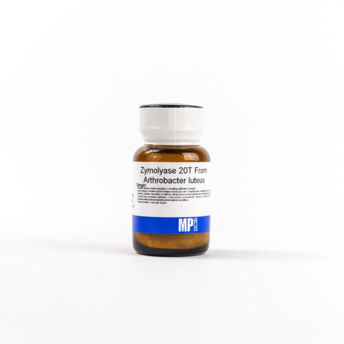 MP Biomedicals Zymolyase, 20T from Arthrobacter luteus, 1 g (08320921)