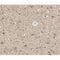 AF0171 at 1/100 staining human brain tissue sections by IHC-P. The tissue was formaldehyde fixed and a heat mediated antigen retrieval step in citrate buffer was performed. The tissue was then blocked and incubated with the antibody for 1.5 hours at 22¡ãC. An HRP conjugated goat anti-rabbit antibody was used as the secondary