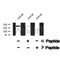 Western blot analysis SRC-1 (Phospho-Thr1179) using Jurkat whole cell lysates
