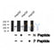 Western blot analysis SREBP-2 (Phospho-Ser455) using HepG2 whole cell lysates
