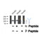 AF8378 staining HepG2 by IF/ICC. The sample were fixed with PFA and permeabilized in 0.1% Triton X-100,then blocked in 10% serum for 45 minutes at 25¡ãC. The primary antibody was diluted at 1/200 and incubated with the sample for 1 hour at 37¡ãC. An  Alexa Fluor 594 conjugated goat anti-rabbit IgG (H+L) Ab, diluted at 1/600, was used as the secondary antibod