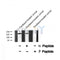 Western blot analysis of ROCK2 (Phospho-Tyr722) using Paclitaxel treated Jurkat whole cell lysates