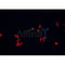 AF0083 staining C1C12 cells by IF/ICC. The sample were fixed with PFA and permeabilized in 0.1% Triton X-100,then blocked in 10% serum for 45 minutes at 25¡ãC. The primary antibody was diluted at 1/200 and incubated with the sample for 1 hour at 37¡ãC. An  Alexa Fluor 594 conjugated goat anti-rabbit IgG (H+L) antibody(Cat.