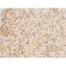 Western blot analysis of Phospho-FKHRL1 (Ser253) expression in various lysates