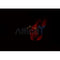 AF0184 staining Hela by IF/ICC. The sample were fixed with PFA and permeabilized in 0.1% Triton X-100,then blocked in 10% serum for 45 minutes at 25¡ãC. The primary antibody was diluted at 1/200 and incubated with the sample for 1 hour at 37¡ãC. An  Alexa Fluor 594 conjugated goat anti-rabbit IgG (H+L) Ab, diluted at 1/600, was used as the secondary antibod