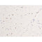 AF3050 staining SK-OV3 by IF/ICC. The sample were fixed with PFA and permeabilized in 0.1% Triton X-100,then blocked in 10% serum for 45 minutes at 25¡ãC. The primary antibody was diluted at 1/200 and incubated with the sample for 1 hour at 37¡ãC. An  Alexa Fluor 594 conjugated goat anti-rabbit IgG (H+L) Ab, diluted at 1/600, was used as the secondary antibod
