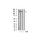 AF3173 staining 293 by IF/ICC. The sample were fixed with PFA and permeabilized in 0.1% Triton X-100,then blocked in 10% serum for 45 minutes at 25¡ãC. The primary antibody was diluted at 1/200 and incubated with the sample for 1 hour at 37¡ãC. An  Alexa Fluor 594 conjugated goat anti-rabbit IgG (H+L) Ab, diluted at 1/600, was used as the secondary antibod