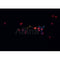 AF0207 staining HeLa  cells by IF/ICC. The sample were fixed with PFA and permeabilized in 0.1% Triton X-100,then blocked in 10% serum for 45 minutes at 25¡ãC. The primary antibody was diluted at 1/200 and incubated with the sample for 1 hour at 37¡ãC. An  Alexa Fluor 594 conjugated goat anti-rabbit IgG (H+L) antibody(Cat.
