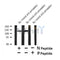 Western blot analysis of Phospho-SHIP1 (Tyr865) in lysates of Raj treated with pervanadate, using Phospho-SHIP1 (Tyr865) Antibody(AF7426).