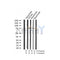 AF3246 staining 293 cells by IF/ICC. The sample were fixed with PFA and permeabilized in 0.1% Triton X-100,then blocked in 10% serum for 45 minutes at 25¡ãC. The primary antibody was diluted at 1/200 and incubated with the sample for 1 hour at 37¡ãC. An  Alexa Fluor 594 conjugated goat anti-rabbit IgG (H+L) antibody(Cat.