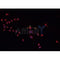AF0225 staining Daudi cells by IF/ICC. The sample were fixed with PFA and permeabilized in 0.1% Triton X-100,then blocked in 10% serum for 45 minutes at 25¡ãC. The primary antibody was diluted at 1/200 and incubated with the sample for 1 hour at 37¡ãC. An  Alexa Fluor 594 conjugated goat anti-rabbit IgG (H+L) antibody(Cat.