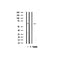 Western blot analysis on mouse brain lysate using Osteopontin Antibody