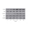 AF3294 staining LOVO by IF/ICC. The sample were fixed with PFA and permeabilized in 0.1% Triton X-100,then blocked in 10% serum for 45 minutes at 25¡ãC. The primary antibody was diluted at 1/200 and incubated with the sample for 1 hour at 37¡ãC. An  Alexa Fluor 594 conjugated goat anti-rabbit IgG (H+L) Ab, diluted at 1/600, was used as the secondary antibod