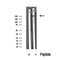 Western blot analysis of extracts of Rat brain tissue sample,using ROS Antibody(DF10344).