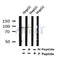Western blot analysis of Phospho-IREB1 (Ser138) in lysates of HepG2, using Phospho-IREB1 (Ser138) Antibody(AF4411).