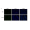 AF3355 staining Hela by IF/ICC. The sample were fixed with PFA and permeabilized in 0.1% Triton X-100,then blocked in 10% serum for 45 minutes at 25¡ãC. The primary antibody was diluted at 1/200 and incubated with the sample for 1 hour at 37¡ãC. An  Alexa Fluor 594 conjugated goat anti-rabbit IgG (H+L) Ab, diluted at 1/600, was used as the secondary antibod