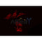 AF0237 staining 293 by IF/ICC. The sample were fixed with PFA and permeabilized in 0.1% Triton X-100,then blocked in 10% serum for 45 minutes at 25¡ãC. The primary antibody was diluted at 1/200 and incubated with the sample for 1 hour at 37¡ãC. An  Alexa Fluor 594 conjugated goat anti-rabbit IgG (H+L) Ab, diluted at 1/600, was used as the secondary antibod