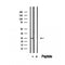 DF12461 staining Hela by IF/ICC. The sample were fixed with PFA and permeabilized in 0.1% Triton X-100,then blocked in 10% serum for 45 minutes at 25¡ãC. The primary antibody was diluted at 1/200 and incubated with the sample for 1 hour at 37¡ãC. An  Alexa Fluor 594 conjugated goat anti-rabbit IgG (H+L) Ab, diluted at 1/600, was used as the secondary antibod