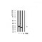 Western blot analysis of RASH/RASK/RASN expression in various lysates
