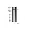 Western blot analysis of SHIP1 expression in various lysates