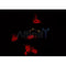 AF0255 staining HuvEc by IF/ICC. The sample were fixed with PFA and permeabilized in 0.1% Triton X-100,then blocked in 10% serum for 45 minutes at 25¡ãC. The primary antibody was diluted at 1/200 and incubated with the sample for 1 hour at 37¡ãC. An  Alexa Fluor 594 conjugated goat anti-rabbit IgG (H+L) Ab, diluted at 1/600, was used as the secondary antibod