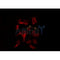 AF0265 staining HuvEc by IF/ICC. The sample were fixed with PFA and permeabilized in 0.1% Triton X-100,then blocked in 10% serum for 45 minutes at 25¡ãC. The primary antibody was diluted at 1/200 and incubated with the sample for 1 hour at 37¡ãC. An  Alexa Fluor 594 conjugated goat anti-rabbit IgG (H+L) Ab, diluted at 1/600, was used as the secondary antibod