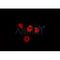 AF0268 staining A549 by IF/ICC. The sample were fixed with PFA and permeabilized in 0.1% Triton X-100,then blocked in 10% serum for 45 minutes at 25¡ãC. The primary antibody was diluted at 1/200 and incubated with the sample for 1 hour at 37¡ãC. An  Alexa Fluor 594 conjugated goat anti-rabbit IgG (H+L) Ab, diluted at 1/600, was used as the secondary antibod