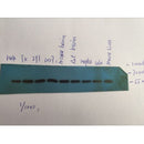 AF6261 staining 293 by IF/ICC. The sample were fixed with PFA and permeabilized in 0.1% Triton X-100,then blocked in 10% serum for 45 minutes at 25¡ãC. The primary antibody was diluted at 1/200 and incubated with the sample for 1 hour at 37¡ãC. An  Alexa Fluor 594 conjugated goat anti-rabbit IgG (H+L) Ab, diluted at 1/600, was used as the secondary antibod