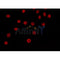 AF0275 staining Hela by IF/ICC. The sample were fixed with PFA and permeabilized in 0.1% Triton X-100,then blocked in 10% serum for 45 minutes at 25¡ãC. The primary antibody was diluted at 1/200 and incubated with the sample for 1 hour at 37¡ãC. An  Alexa Fluor 594 conjugated goat anti-rabbit IgG (H+L) Ab, diluted at 1/600, was used as the secondary antibod
