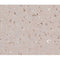 AF0284 at 1/100 staining human brain tissue sections by IHC-P. The tissue was formaldehyde fixed and a heat mediated antigen retrieval step in citrate buffer was performed. The tissue was then blocked and incubated with the antibody for 1.5 hours at 22¡ãC. An HRP conjugated goat anti-rabbit antibody was used as the secondary