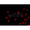 AF0291 staining HeLa by IF/ICC. The sample were fixed with PFA and permeabilized in 0.1% Triton X-100,then blocked in 10% serum for 45 minutes at 25¡ãC. The primary antibody was diluted at 1/200 and incubated with the sample for 1 hour at 37¡ãC. An  Alexa Fluor 594 conjugated goat anti-rabbit IgG (H+L) Ab, diluted at 1/600, was used as the secondary antibod