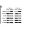 Western blot analysis of extracts from HUVEC cells using CDK4 Antibody