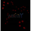 AF0327 staining COLO205 by IF/ICC. The sample were fixed with PFA and permeabilized in 0.1% Triton X-100,then blocked in 10% serum for 45 minutes at 25¡ãC. The primary antibody was diluted at 1/200 and incubated with the sample for 1 hour at 37¡ãC. An  Alexa Fluor 594 conjugated goat anti-rabbit IgG (H+L) Ab, diluted at 1/600, was used as the secondary antibod