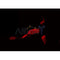 Western blot analysis of extracts from mouse lung , using ADCK5 Antibody.