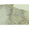 DF3322 staining Hela by IF/ICC. The sample were fixed with PFA and permeabilized in 0.1% Triton X-100,then blocked in 10% serum for 45 minutes at 25¡ãC. The primary antibody was diluted at 1/200 and incubated with the sample for 1 hour at 37¡ãC. An  Alexa Fluor 594 conjugated goat anti-rabbit IgG (H+L) Ab, diluted at 1/600, was used as the secondary antibod