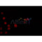 AF0346 staining 293 by IF/ICC. The sample were fixed with PFA and permeabilized in 0.1% Triton X-100,then blocked in 10% serum for 45 minutes at 25¡ãC. The primary antibody was diluted at 1/200 and incubated with the sample for 1 hour at 37¡ãC. An  Alexa Fluor 594 conjugated goat anti-rabbit IgG (H+L) Ab, diluted at 1/600, was used as the secondary antibod